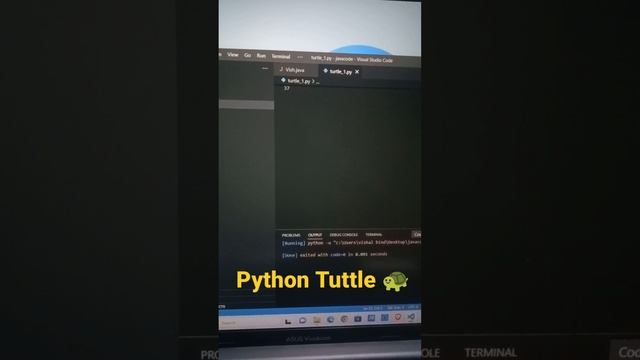 star pattern using python turtle ??| python animation | python  turtle#python #pythonturtlegraphics