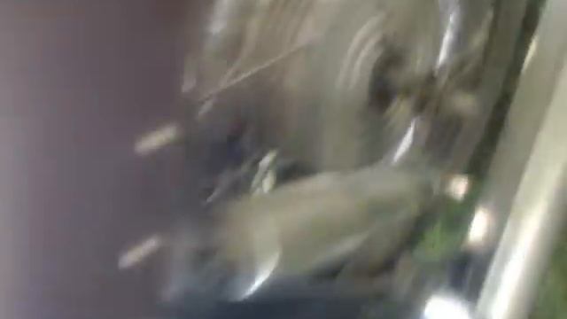 иж планета ДРОГОБИЧ смотреть онлайн