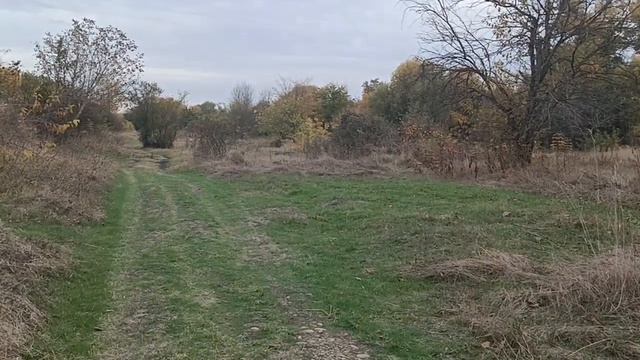 как узнать свое предназначение.с помощью чего смотреть онлайн