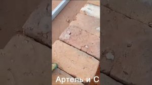 Видео 13: Результат шлифовки старого печного кирпича