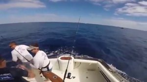 Чуть не убил. Гигантский Марлин чуть не проткнул рыбака 07.01.16