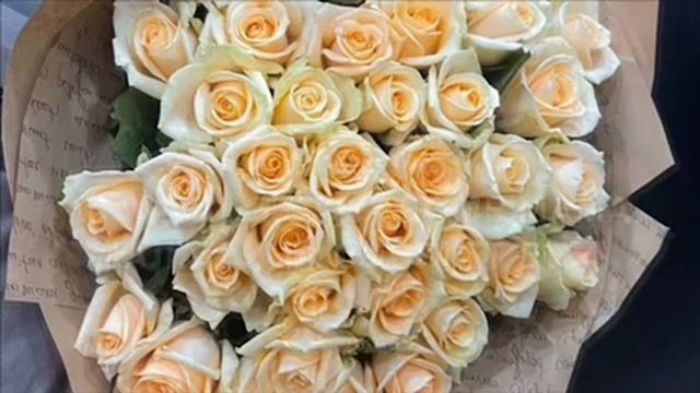 Дала декъал йойла хьо мар-нан? смотреть онлайн