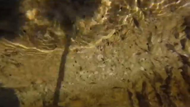 Day off Ciovo смотреть онлайн