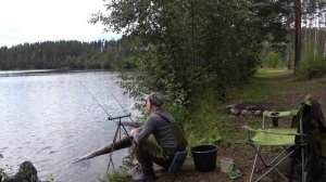 Рыбалка на озере Петровском. Отличный улов! Fishing on lake Petrovskoe #рыбалка #fishing #фидер