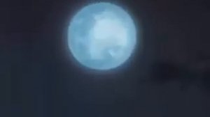 Флер - Для того, кто умел верить