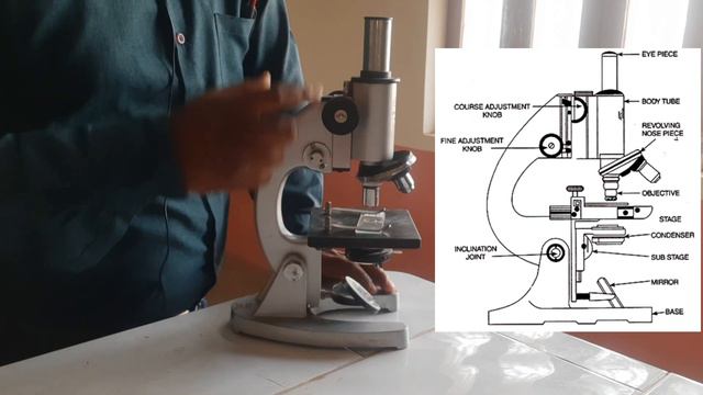 BSc 1st Semester Botany Practical According to New Education Policy/Botany Practical For BSc1st Yea