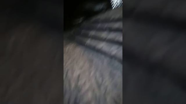 КАК ОТУЧИТЬСЯ ОТ ПЫРА? смотреть онлайн