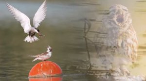 Так не бывает на свете, чтоб были потеряны дети..