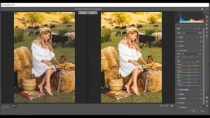 COLOR GRADING PRESET - ALMOND COLOR - DNG & XMP - MOBILE LIGHTROOM FREE PRESET