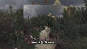 kempel-я всегда рядом (speed up)