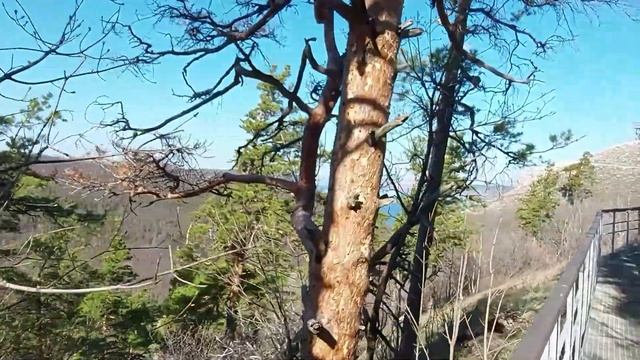 Гора Стрельная. Жигулевский заповедник. Самарская лука