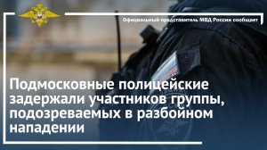 Подмосковные полицейские задержали участников группы, подозреваемых в разбойном нападении