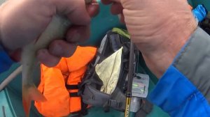 Рыбалка на Волжских раскатах (Главный банк)