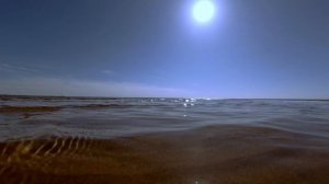 Кронштадт. Финский залив, пляж. 4K