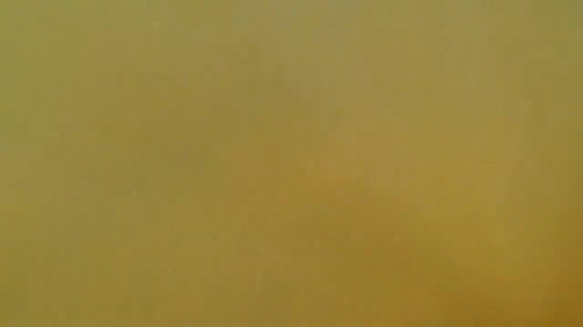 Туториал, как пережить жару в Питере смотреть онлайн