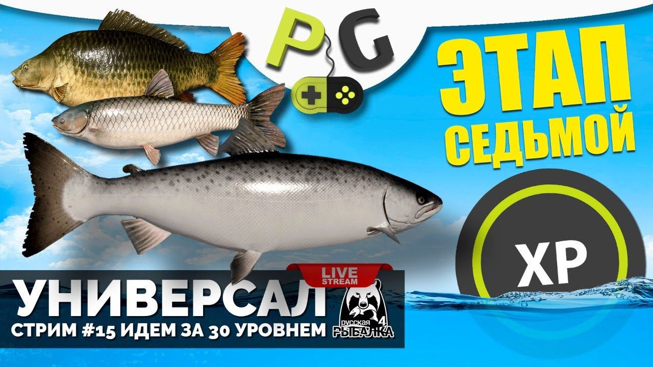 Русская Рыбалка 4 - Стрим Прокачка УНИВЕРСАЛА для 7-го этапа Стрим #15 Лосось, Амур, Карп смотреть онлайн