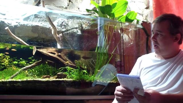 Железо в аквариуме (ИТОГ) и понемногу обо всём смотреть онлайн