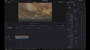 PLUGIN GRATIS !! para Davinci Resolve + TIP sorpresa