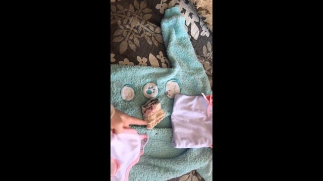 Какие вещи нужно взять  Реборну в   поездку к ￼бабушке ￼￼?