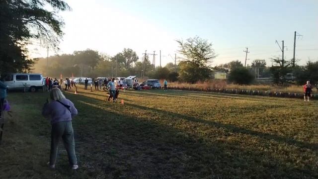 Нед.   Ал&Ан АДАМО (Варгас из Белого Яра – Atsel Hof Melani) 26