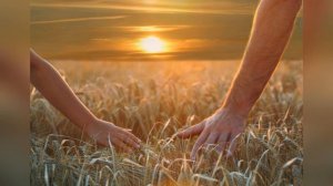 Олег Гаврилюк  "Жизнь  - Бумеранг" читает Любовь Б. #стихи #поэзия #стихиожизни #поэзиядлядуши