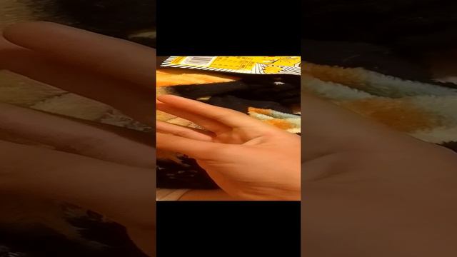 VID_20240831_221232.mp4