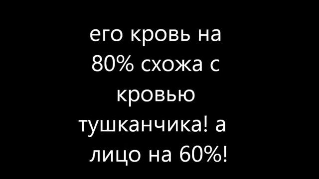 человек тушканчик смотреть онлайн