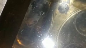 Опрессовка ГБЦ Рено Магнум