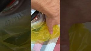 Турбина Камминз 2 8 Газель Некст, Бизнес