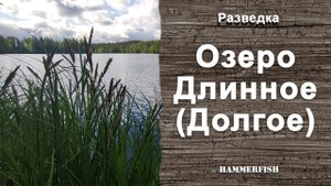 Озеро Длинное (Долгое). Подводная охота в Ленинградской области.