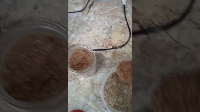 Кунжут, тмин, тыквенные семечки, лен, желатин. ТЕПЕРЬ НОГИ НЕ БУДУТ БОЛЕТЬ! НИКАКОЙ СУСТАВНОЙ БОЛИ. смотреть онлайн