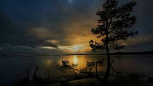Кровь - не водица...