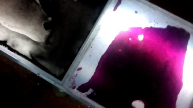 Дорожка из живой плитки смотреть онлайн