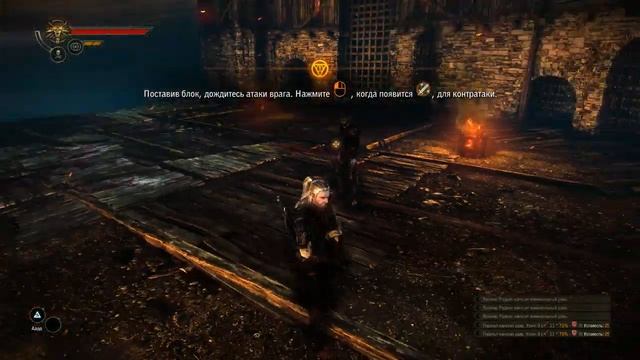 Прохождение The Witcher 2 Assassins of Kings (Обучение) смотреть онлайн