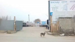 Дольнобой рейс нижний новгород