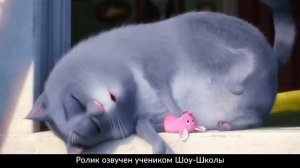 Тайная жизнь домашних животных