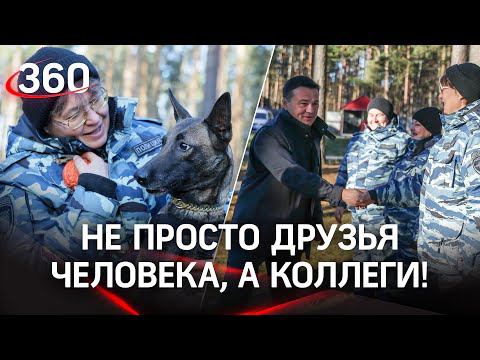 Служба на 4 лапах: в День полиции познакомимся с её хвостатыми сотрудниками