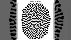 Fitzhugh-Nagumo --- Labyrinth Patterns