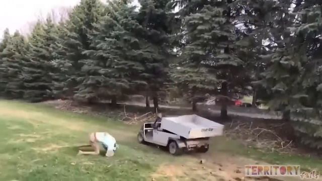 Что такое Territory fails ? [ Территория ] смотреть онлайн