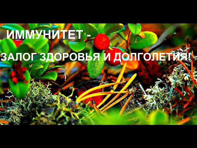 Иммунитет,иммунитет.... И о том, как быстро повысить его!!!