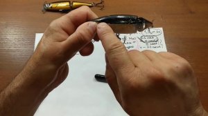 Где искать щуку летом? Цвет приманки на щуку летом.
