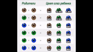 Kакого цвета будут глаза у ребенка?