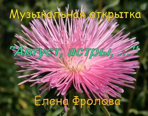 Август, астры