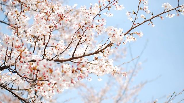 Молитва об осознании смотреть онлайн