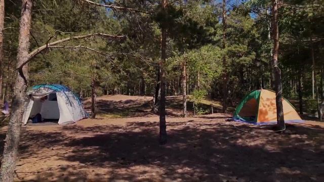 КУДА ПОЕХАТЬ НА ВЫХОДНЫЕ В ЛЕНИНГРАДСКОЙ ОБЛАСТИ? КЕМПИНГ НА ФИНСКОМ ЗАЛИВЕ