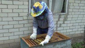 ОТКАЧКА МЁДА как я качаю мед как откачать мед Пчелы Пчелиная ферма