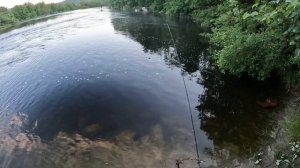 НА ДОНКУ В СЕВЕРНОЙ РЕЧКЕ