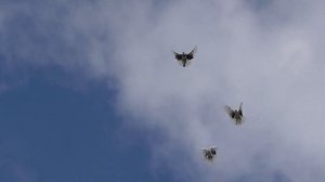 Николаевские голуби. Мои бокатые