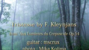 Tristesse by F. Kleynjans (audio file)