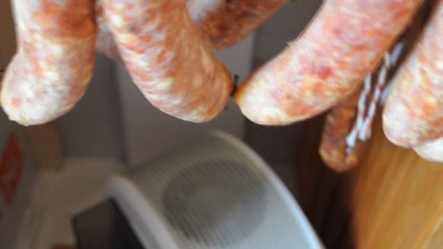 Климатическая камера для сыровяления своими руками